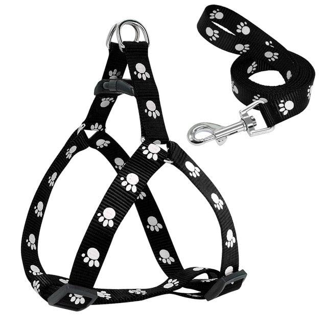 Dog Trust 15 mm Bone and Dog Print Nylon Puppy Harness & Leash Set for  Small Dogs & Puppies - Pack of (Harness + Leash) (Black)