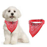 Adjustable Pet Neck Scarf