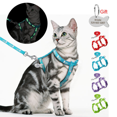 Nylon Cat Harness and Leash Set With Customized Id Tag