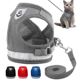 Cat Harness and Leash Set