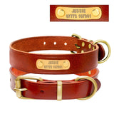 Personalized Dog ID Collar Genuine Leather
