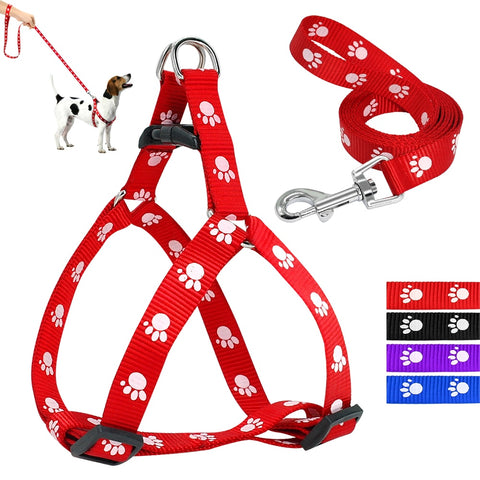 Paw Print Small Dog Harness and Leash