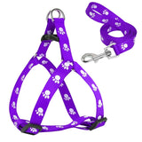 Paw Print Small Dog Harness and Leash