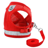 Cat Harness and Leash Set