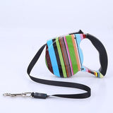 Dog Collar Leash