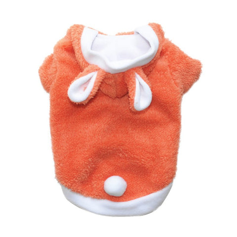 Rabbit Turned Pet Clothes
