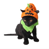 Pet Halloween Costume