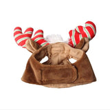 Pet Halloween Costume