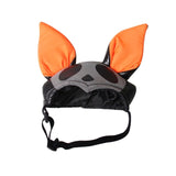 Pet Halloween Costume